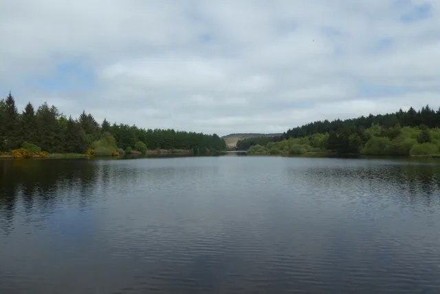 Cod Beck Reservoir near Osmotherley